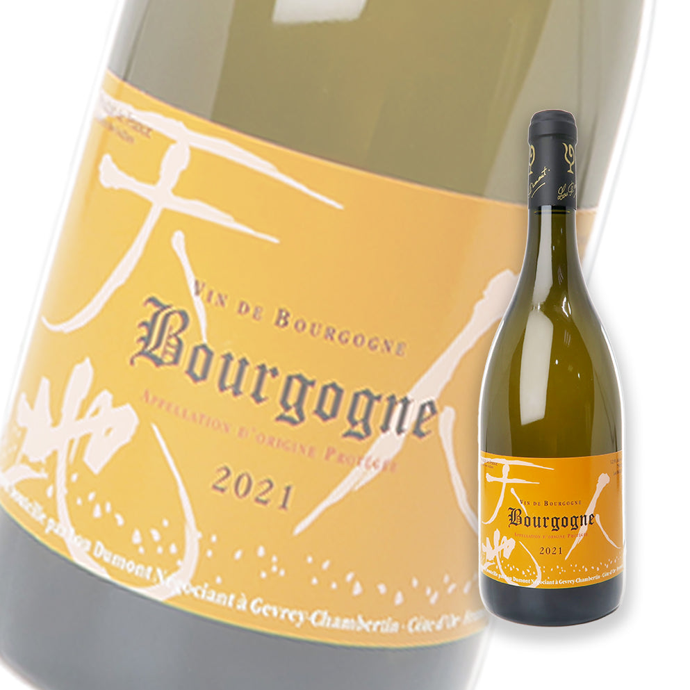 Lou Dumont Bourgogne Blanc 2021 750ml